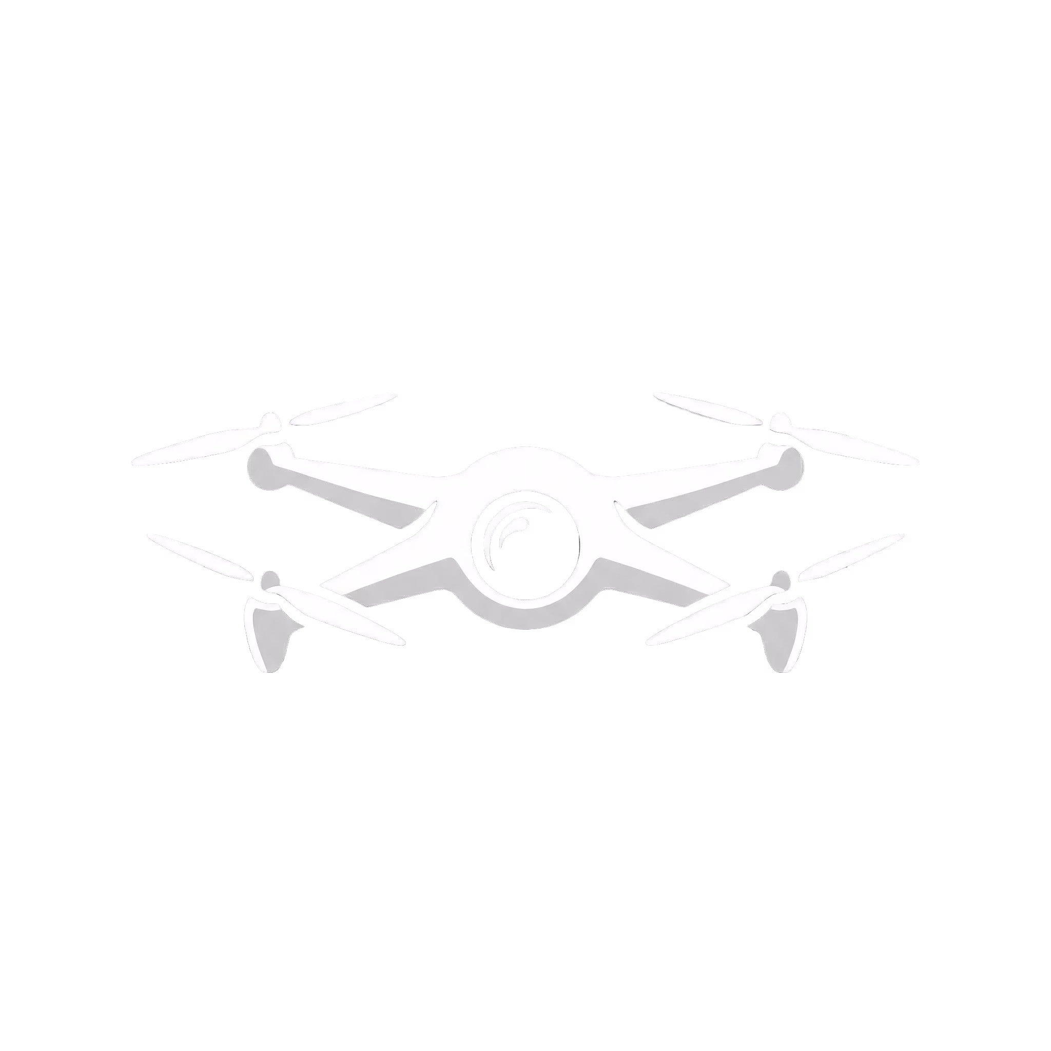 Drohnenlogo von DRONESHOT für Drohnenfotografie und Drohnenvideos in Baden-Württemberg